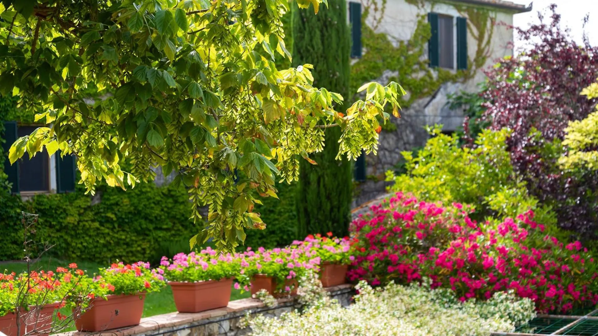 Quaint House In Murlo With Shared Pool Italy